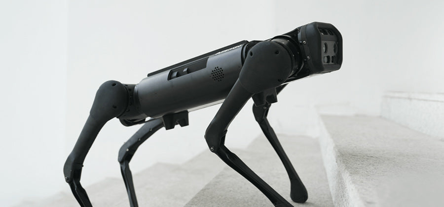 Unitree AlienGo running dynamic
