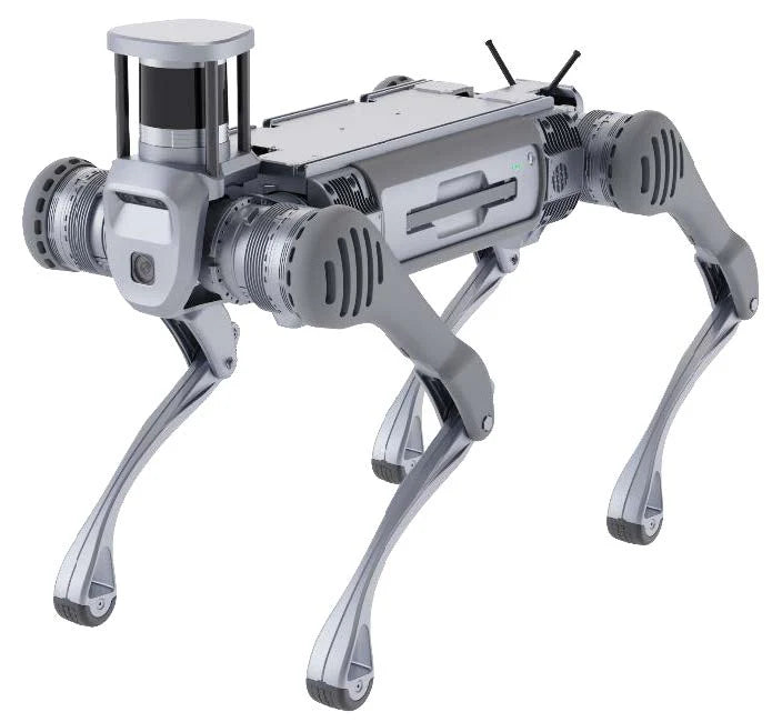 Deep Robotics X30 / X30 Pro Robot Dog