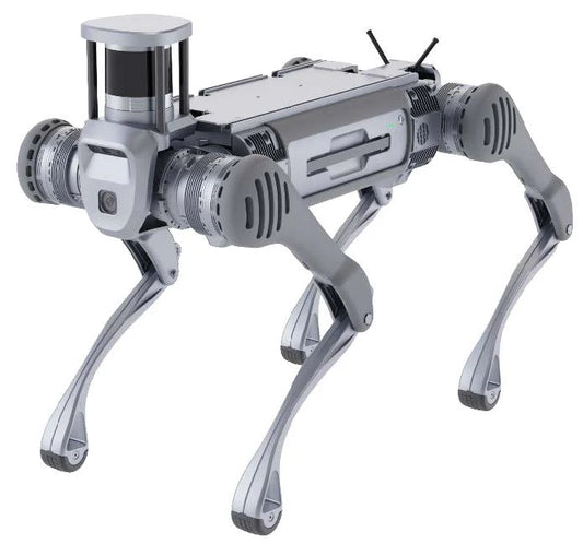 Deep Robotics X30 / X30 Pro Robot Dog
