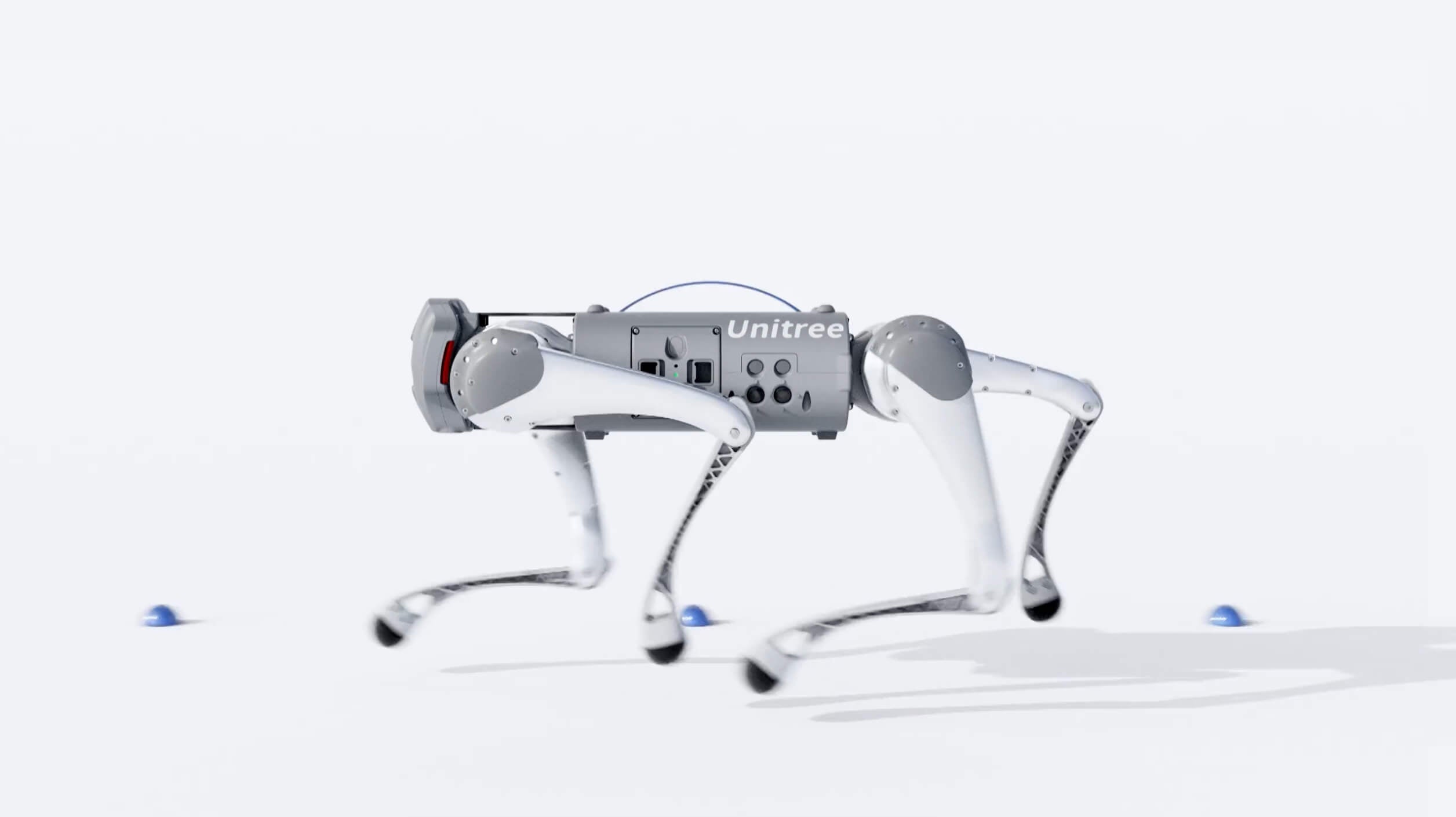 Unitree Go1 quadruped robot hero