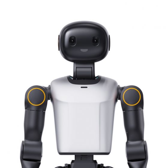 Booster K1 humanoid robot profile